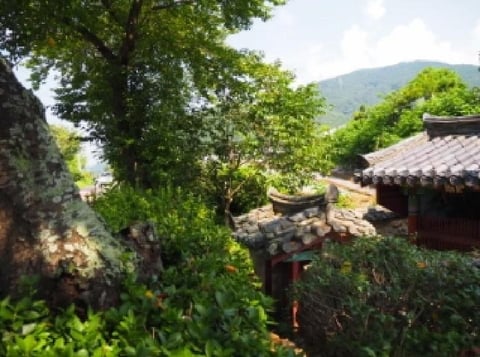 물건 사진 2