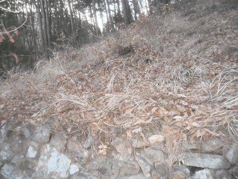 물건 사진 15