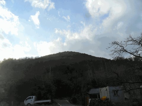 물건 사진 17