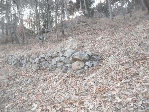물건 사진 19
