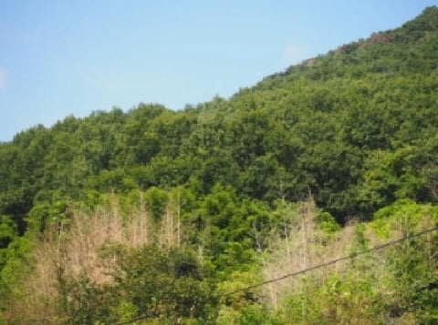 물건 사진 7
