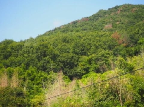 물건 사진 8