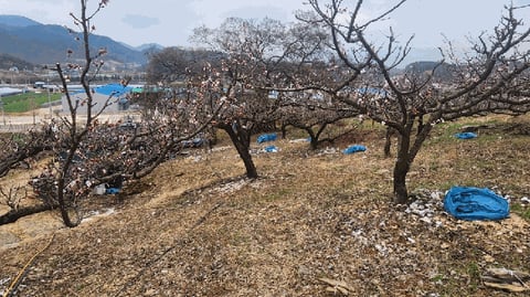 물건 사진 12