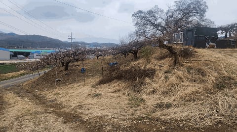 물건 사진 13
