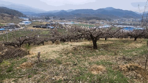 물건 사진 15