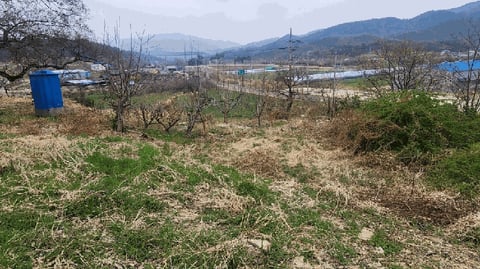 물건 사진 16