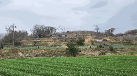 물건 사진 20