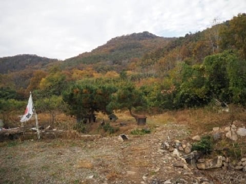물건 사진 12
