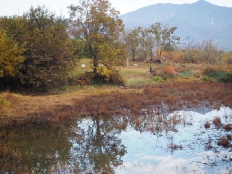 물건 사진 3