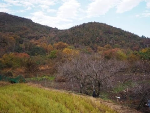 물건 사진 7