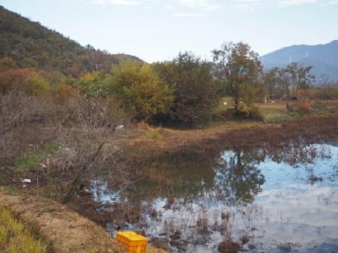 물건 사진 8