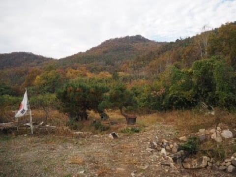 물건 사진 11