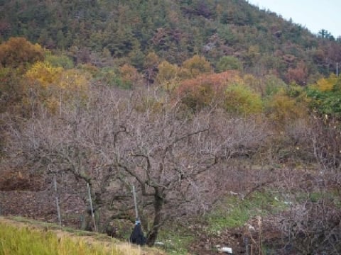 물건 사진 5