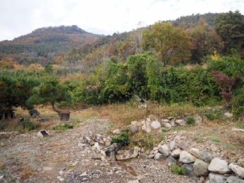 물건 사진 10