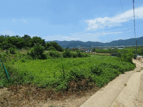 물건 사진 8