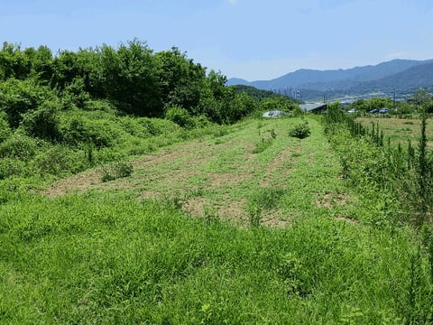 물건 사진 10