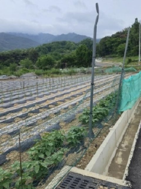물건 사진 1