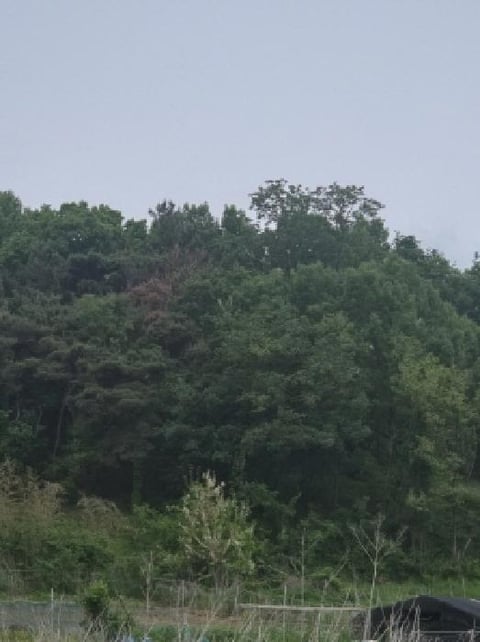 물건 사진 4