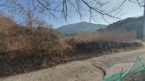 물건 사진 18
