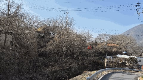 물건 사진 38