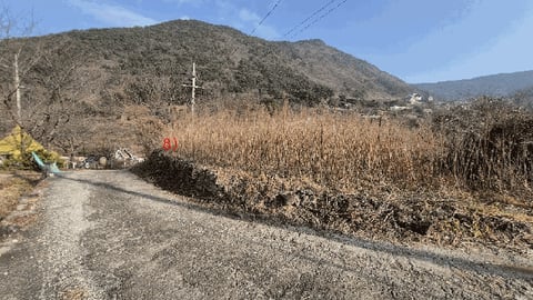 물건 사진 39