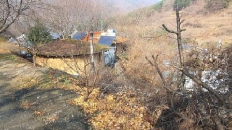 물건 사진 7