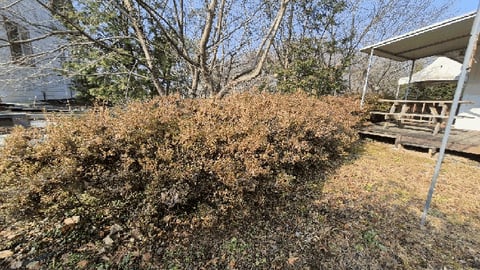 물건 사진 67