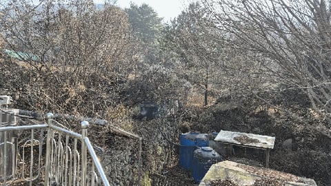 물건 사진 68