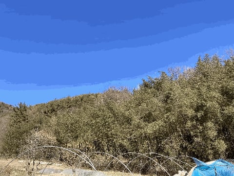 물건 사진 6