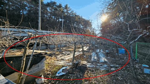 물건 사진 18
