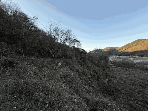 물건 사진 6