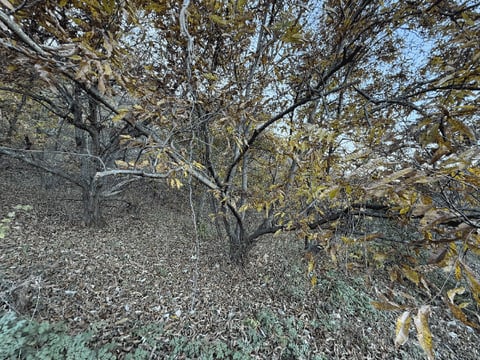 물건 사진 10