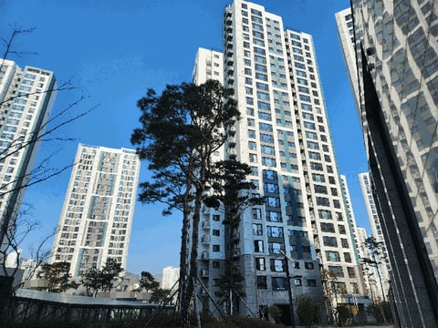물건 사진 8