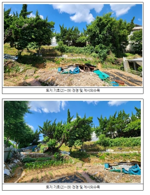 물건 사진 45