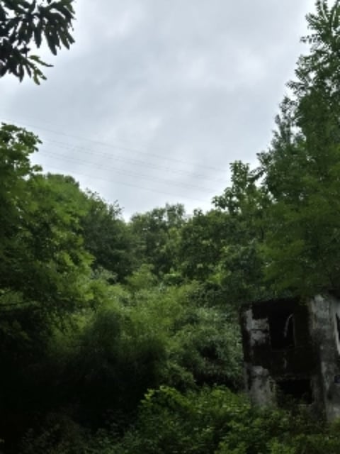 물건 사진 9