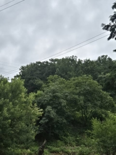 물건 사진 10