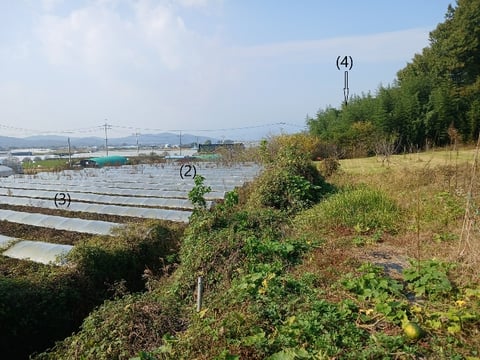 물건 사진 18