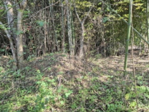 물건 사진 7