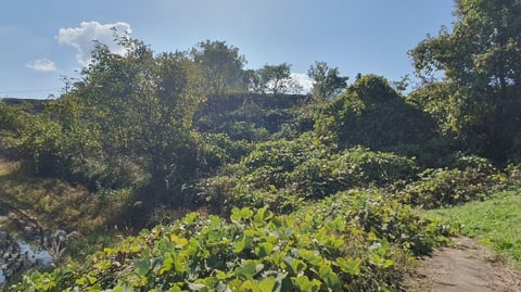 물건 사진 19