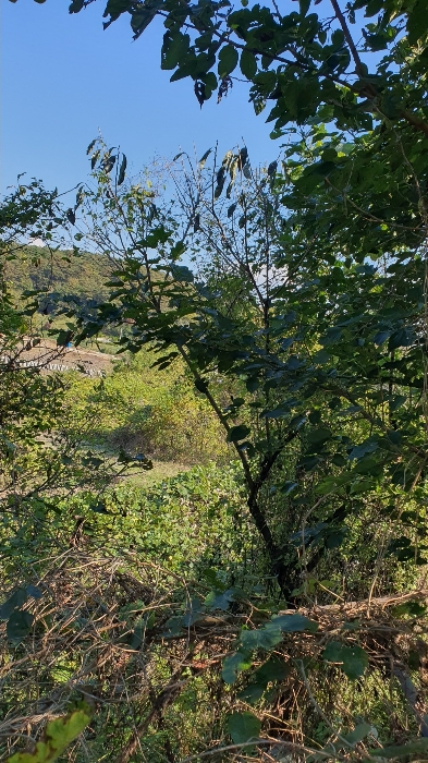 물건 사진 21