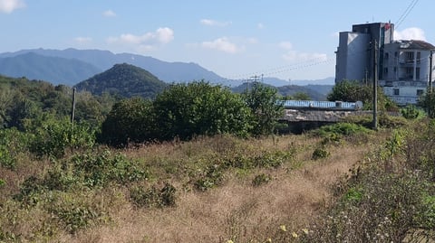물건 사진 8