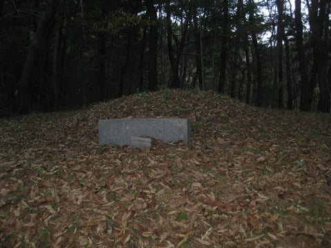 물건 사진 17