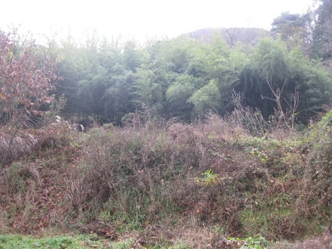 물건 사진 18