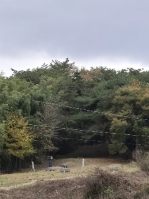 물건 사진 7