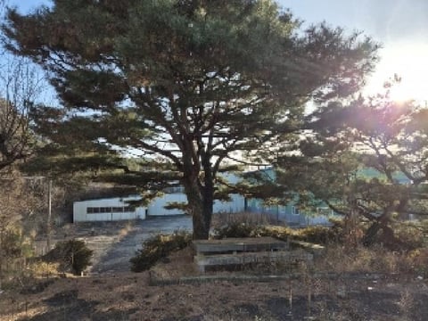 물건 사진 3