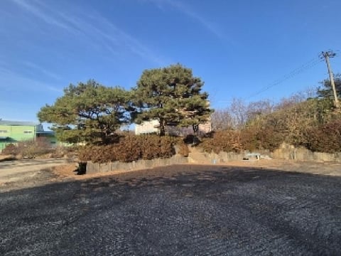 물건 사진 7