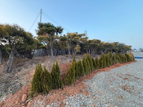 물건 사진 14