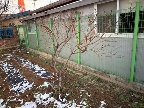 물건 사진 20