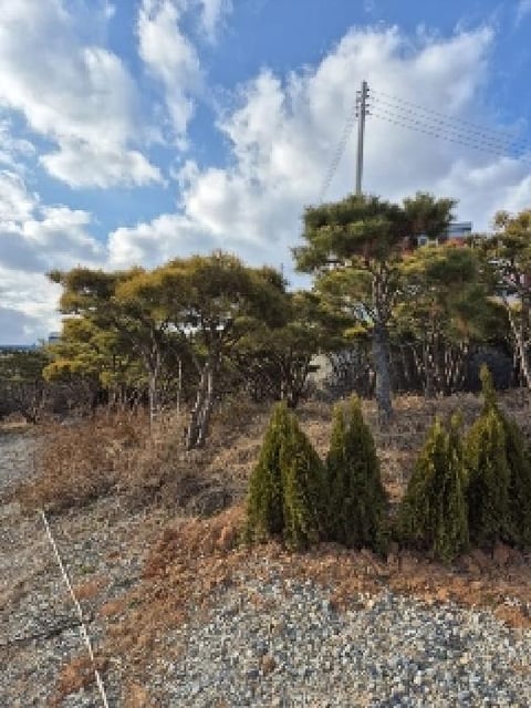 물건 사진 5