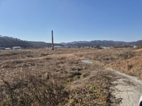 물건 사진 5